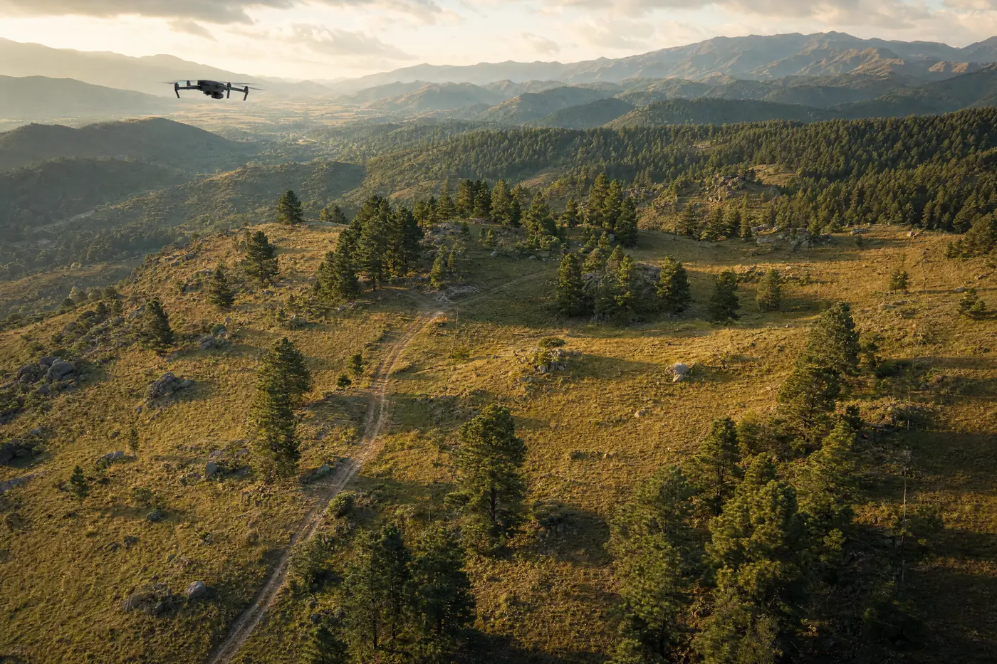 Ilustración generada con IA: vista aérea baja de un terreno amplio en una ladera suave de las sierras, con pastizal, pinos, un camino de tierra y un drone a lo lejos.