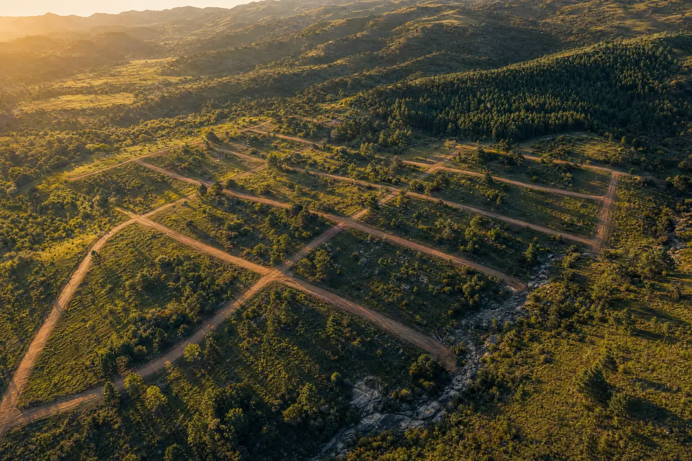 Ilustración generada con IA: vista aérea cenital de un loteo con calles de tierra marcadas entre sierras, con lotes de pastizal y árboles bajo luz dorada.